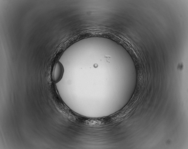 X0000101200512200806270833