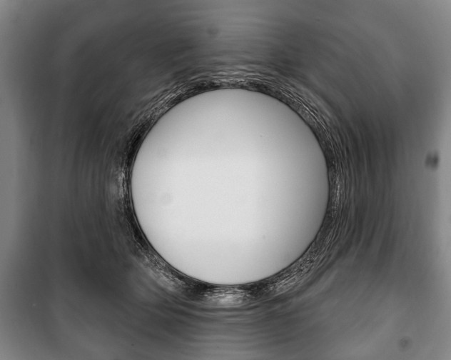 X0000101200514200806270832