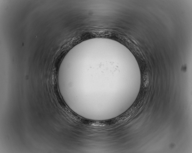 X0000101200515200806270832
