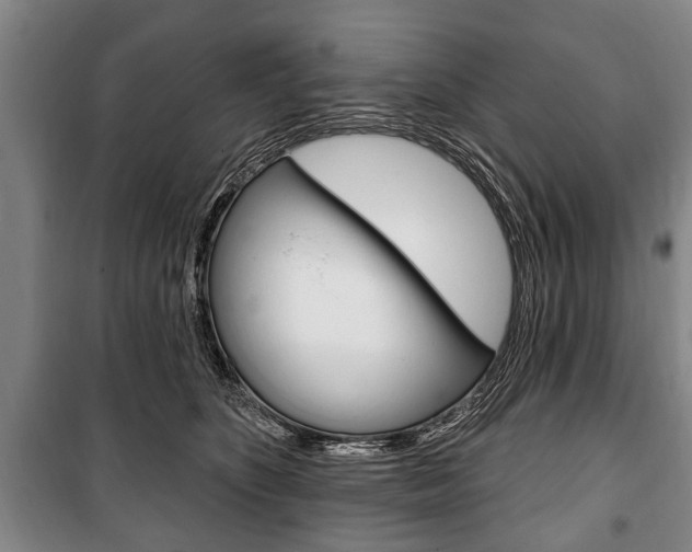 X0000101200516200806270832