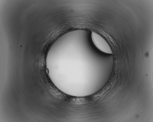 X0000101200517200806270832
