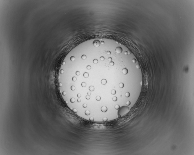 X0000101200519200806270832