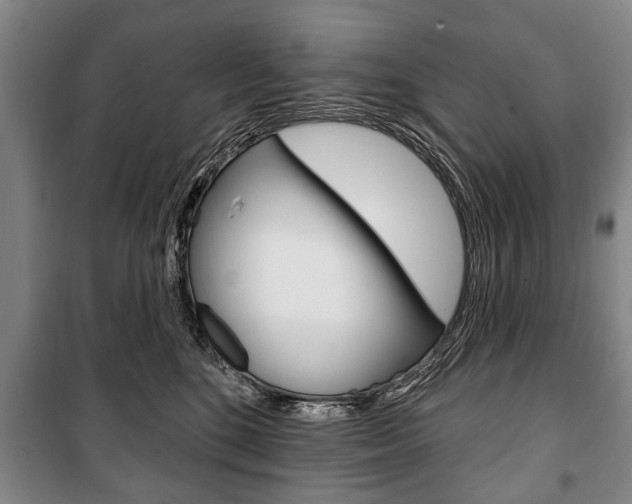 X0000101200520200806270832
