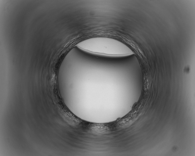 X0000101200521200806270832