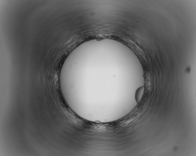 X0000101200523200806270832