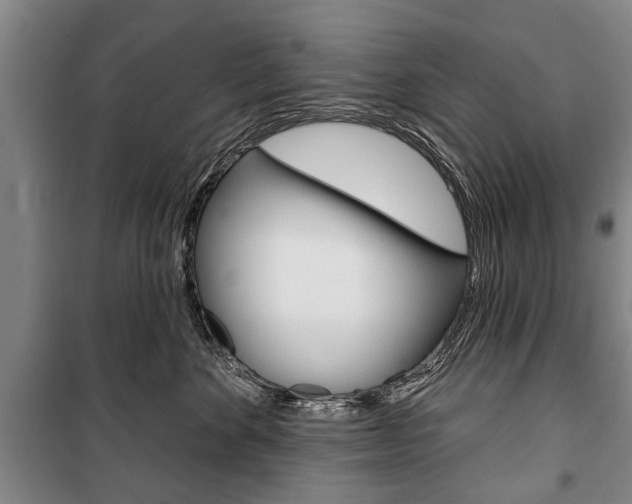 X0000101200524200806270832