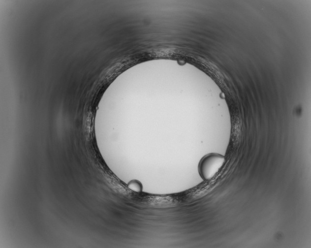 X0000101200525200806270832