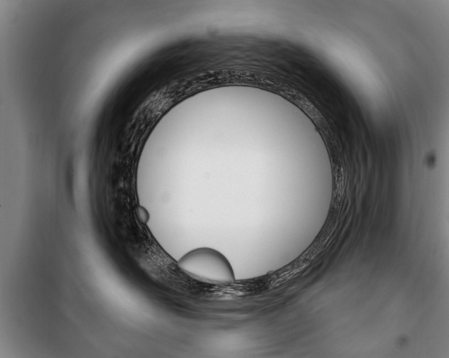 X0000101200526200806270832