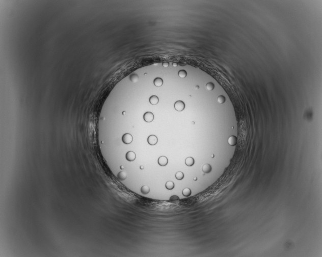 X0000101200527200806270832