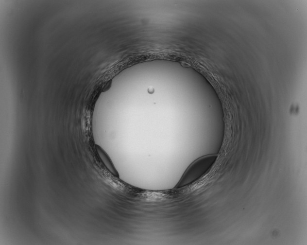 X0000101200528200806270832