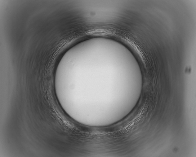X0000101200529200806270832