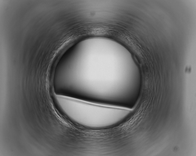 X0000101200530200806270832