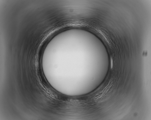 X0000101200531200806270832