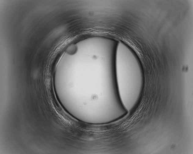 X0000101200533200806270832