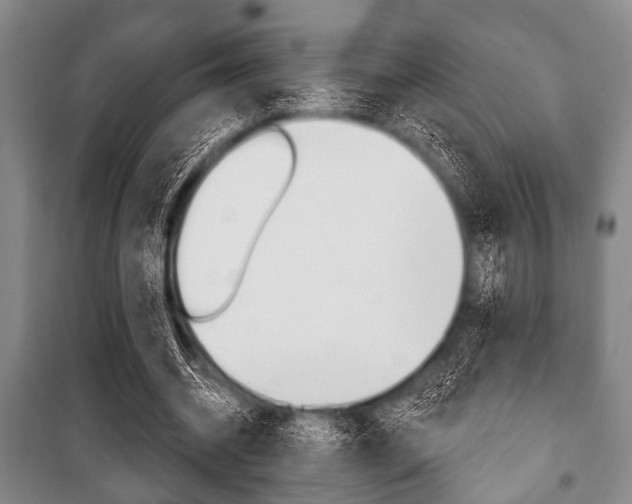 X0000101200534200806270832
