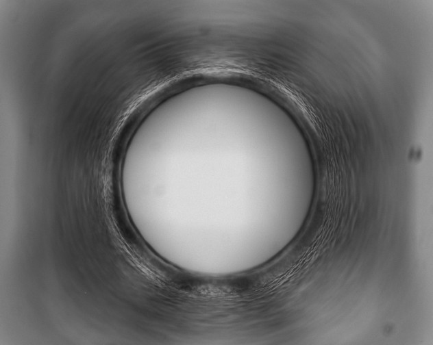 X0000101200535200806270832