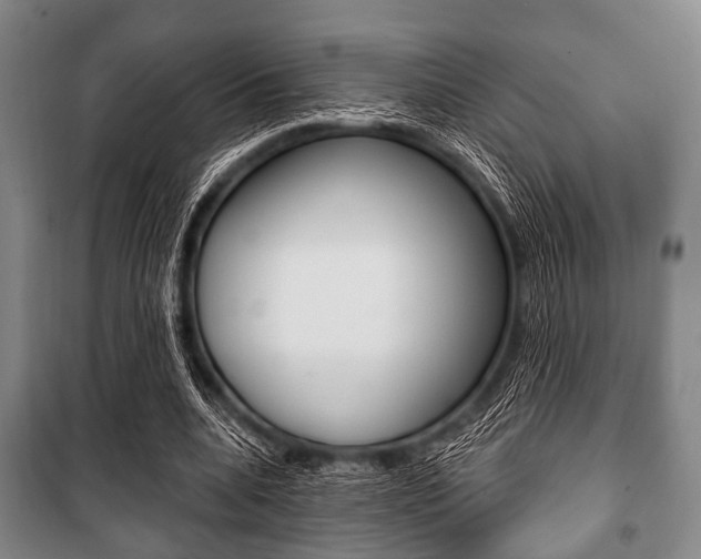 X0000101200536200806270832