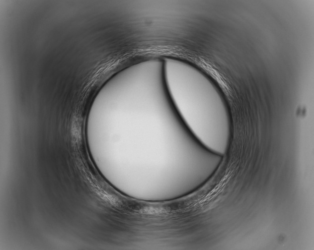 X0000101200537200806270832