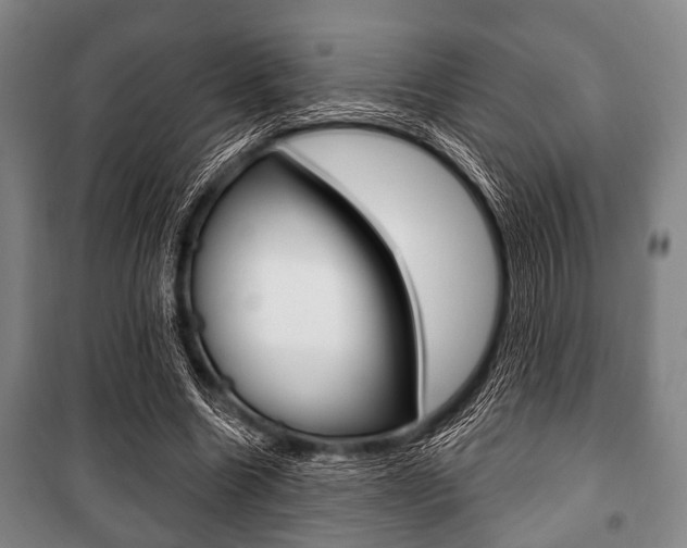 X0000101200538200806270832