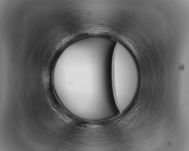 X0000101200539200806270832