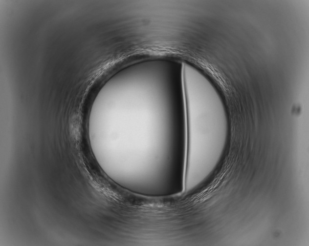 X0000101200540200806270832