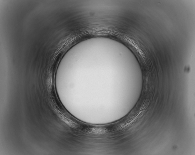 X0000101200541200806270832