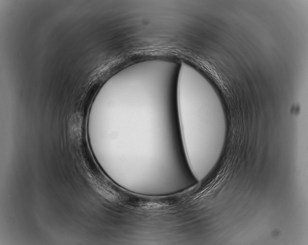 X0000101200542200806270832