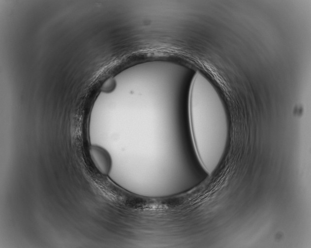 X0000101200543200806270832