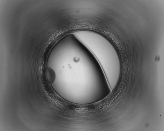 X0000101200544200806270832