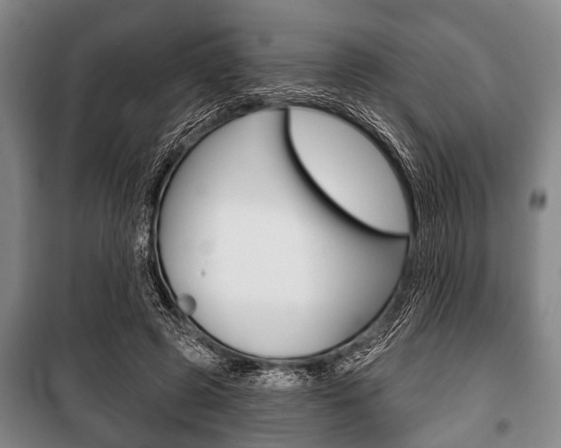 X0000101200545200806270832