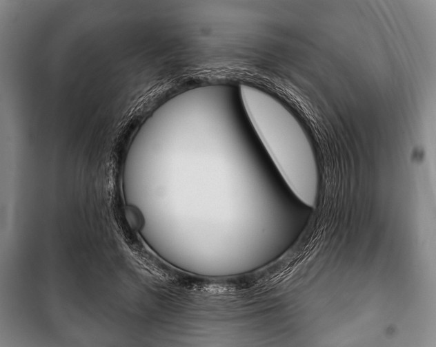X0000101200546200806270832