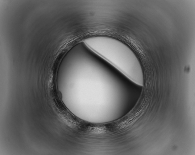 X0000101200548200806270832