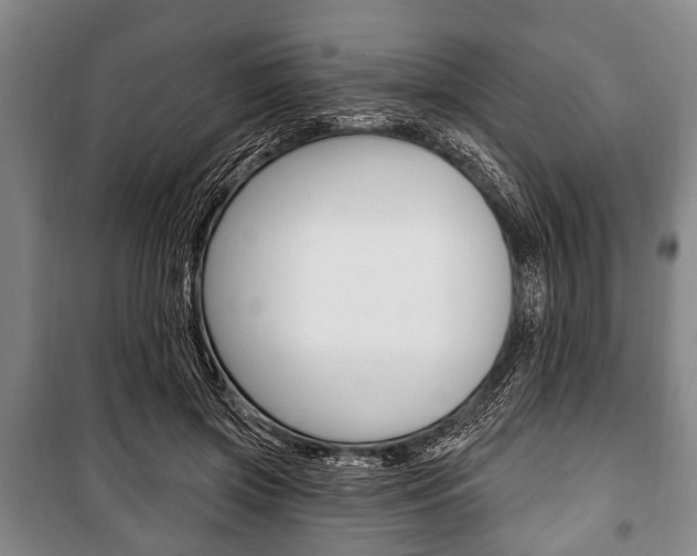X0000101200549200806270832