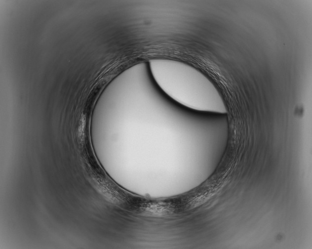 X0000101200550200806270832