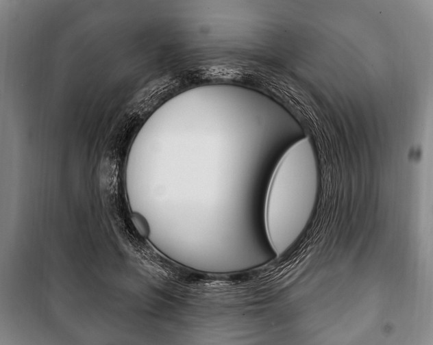 X0000101200551200806270832