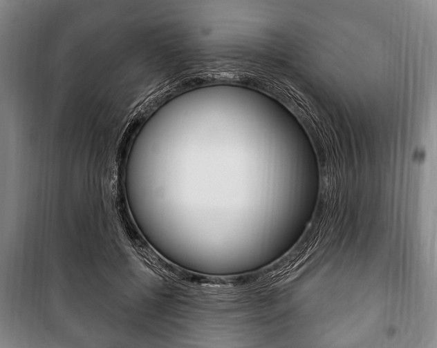 X0000101200552200806270832