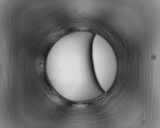 X0000101200553200806270832