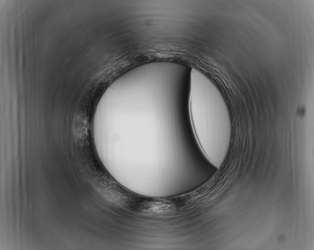X0000101200555200806270832