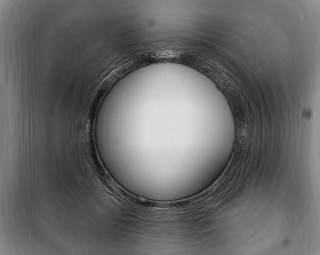 X0000101200556200806270832