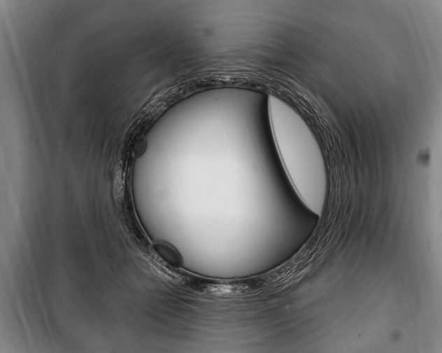 X0000101200558200806270832