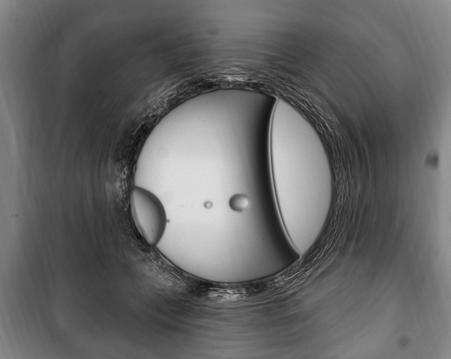 X0000101200559200806270832
