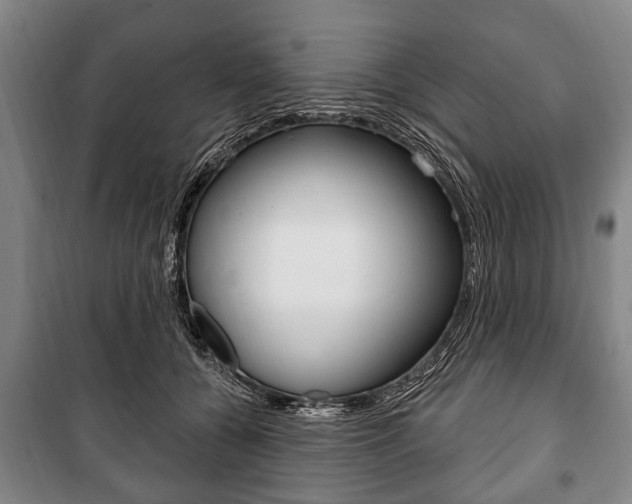 X0000101200560200806270832