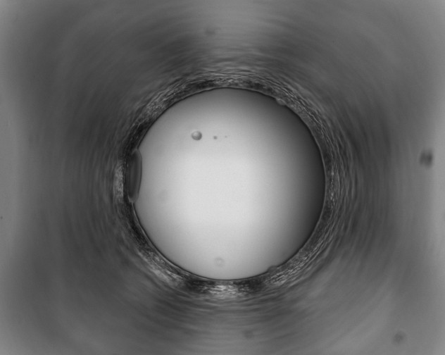X0000101200562200806270832