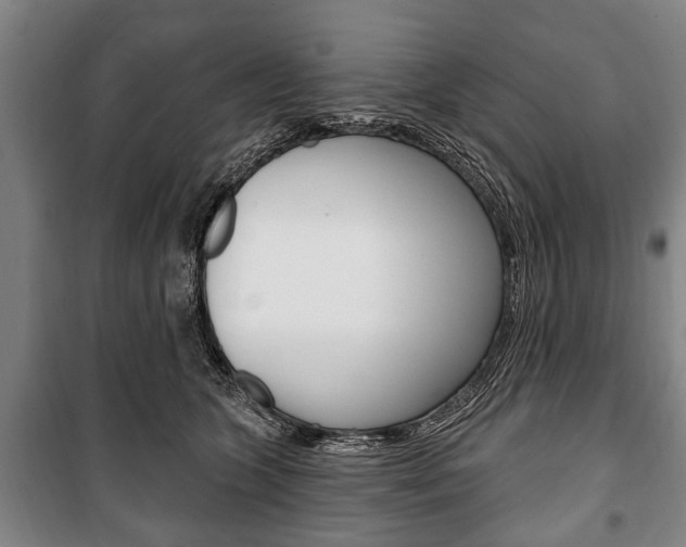 X0000101200563200806270832
