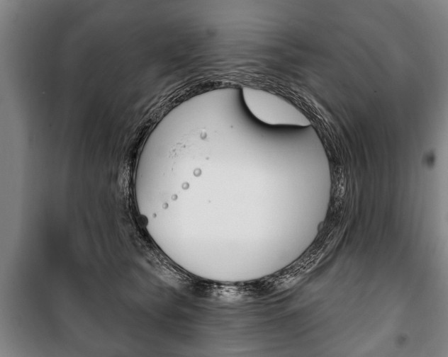 X0000101200565200806270832
