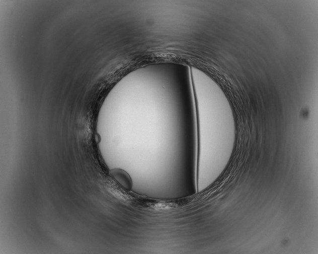 X0000101200566200806270832
