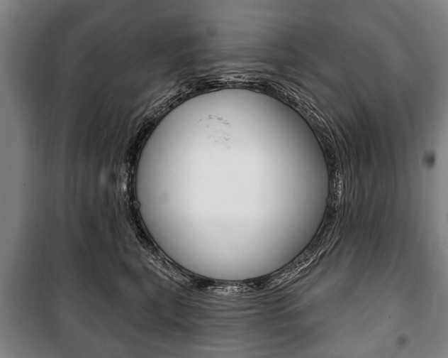 X0000101200567200806270832