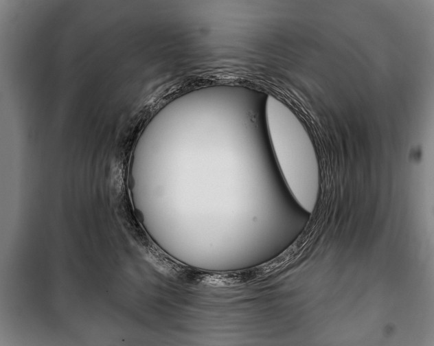 X0000101200568200806270832