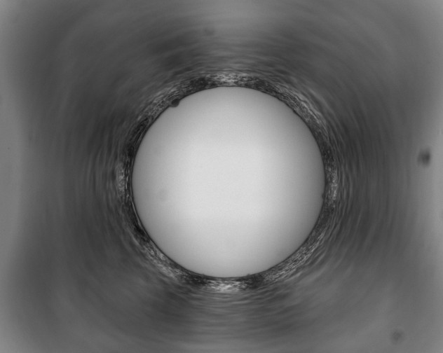 X0000101200569200806270832