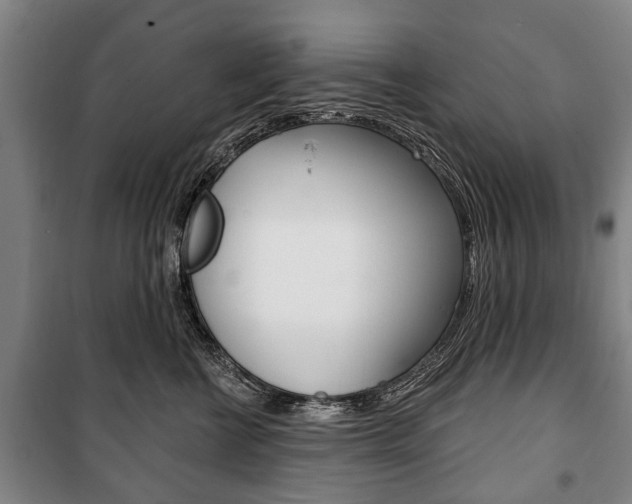 X0000101200570200806270832